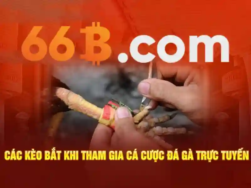 naptien-ruttien-66b