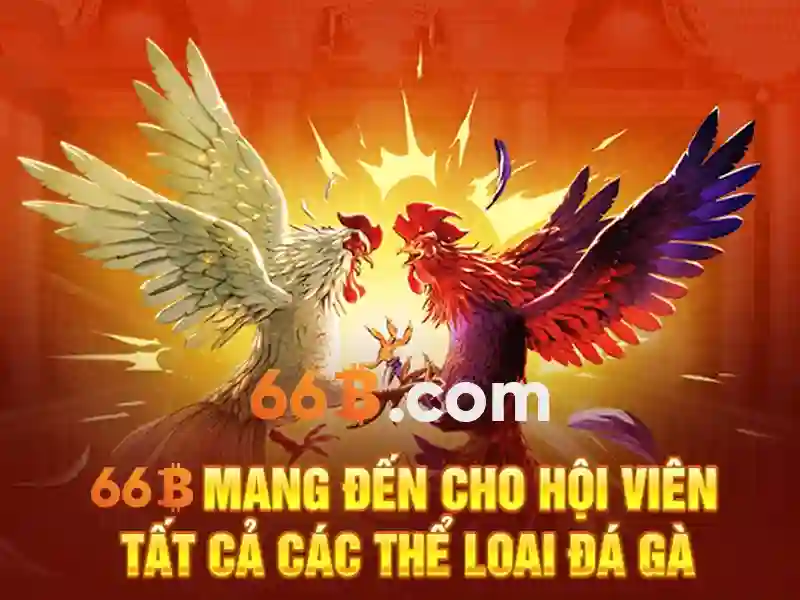 Giao dien trung tam lien he 66b chuyen nghiep va than thien