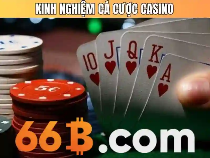 cashback-66b