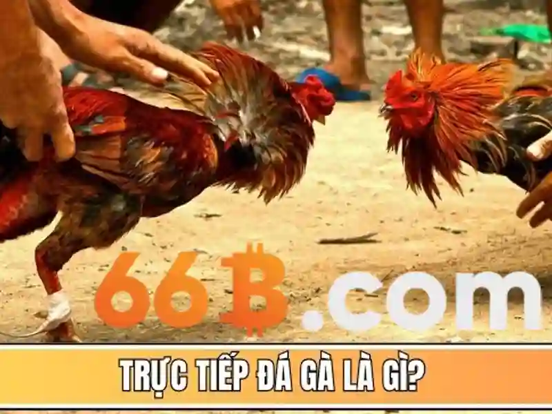 66b-games